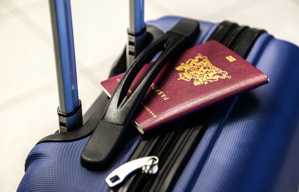 Valise voyage