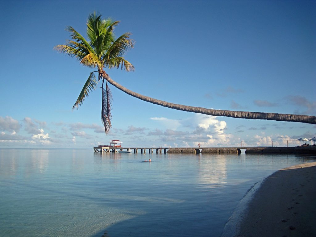 lindonesie-guide-de-voyage-Sulawesi-3