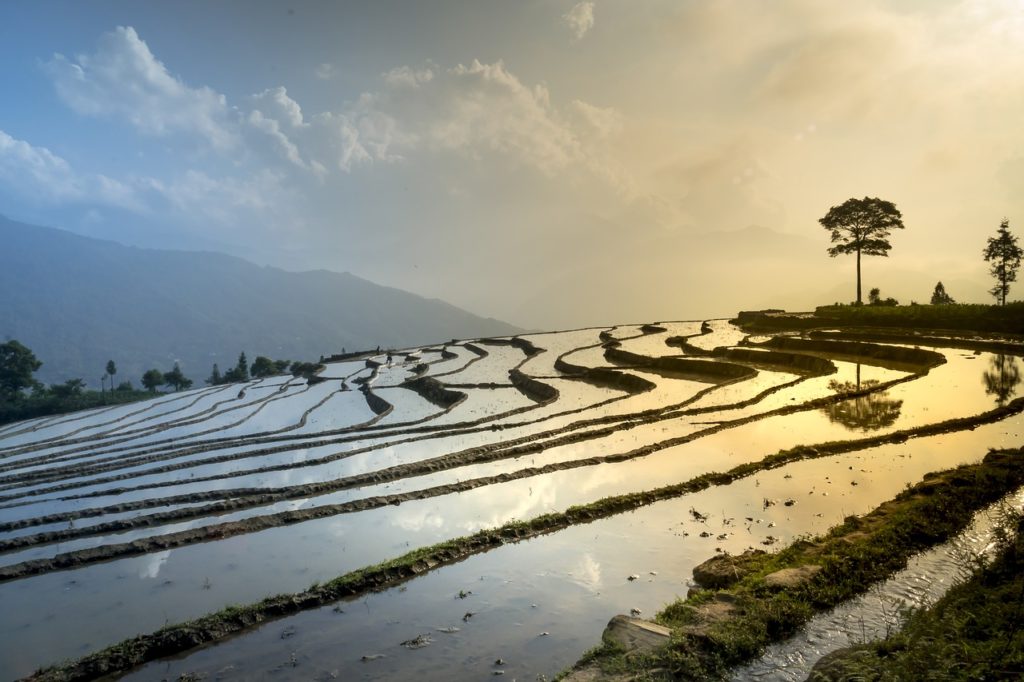 vietnam-guide-de-voyage-3