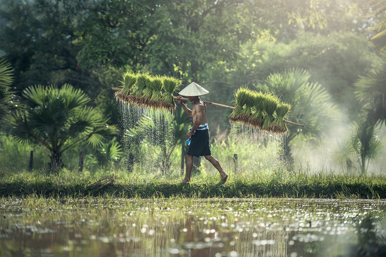 Visa Cambodge