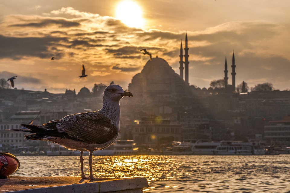 Turquie pour senior célibataire