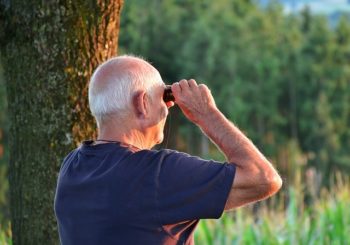 Voyage senior en Nouvelle-Zélande : tout ce qu’il y a à savoir