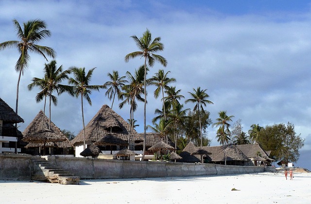 Zanzibar: guide de voyage