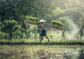 Visa pour le Cambodge