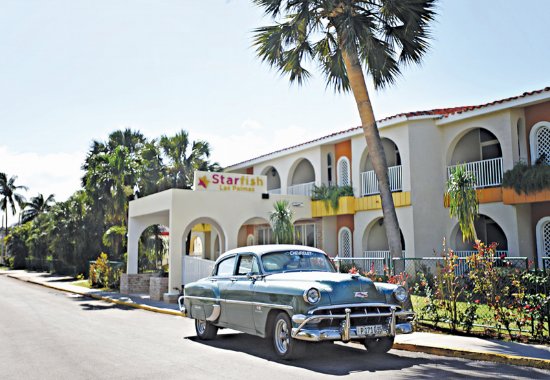 4164_starfish-las-palmas