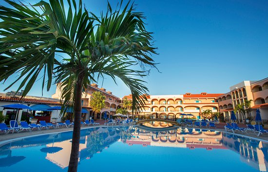 4415_starfish-cuatro-palmas