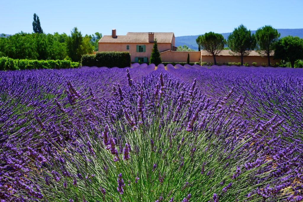 Gïte en Provence