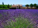 Gîtes de luxe en Provence pour seniors en couple ou célibataires