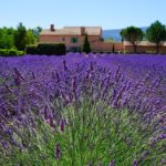 Gïte en Provence