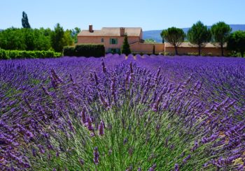 Gîtes de luxe en Provence pour seniors en couple ou célibataires