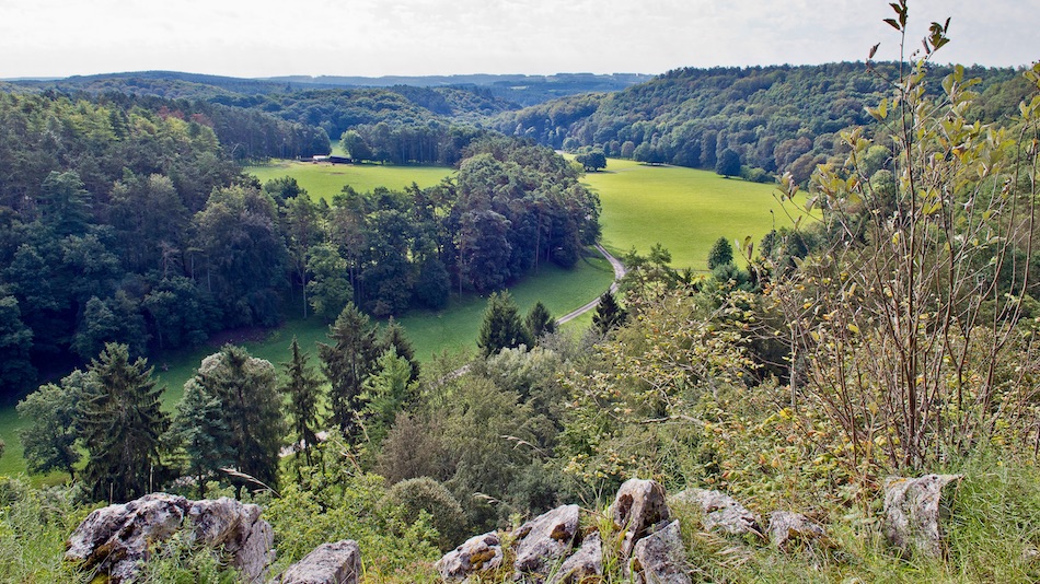 Le parc animalier des grottes de Han. Han-sur-Lesse